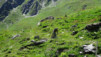 St-Rhemy_13_040