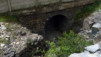 Tatz_12_020
