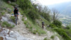 Tatz_12_022