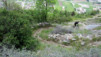 Tatz_12_023