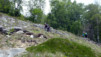 Tatz_12_028