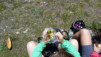 Tatz_14_007