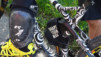 Tatz_14_008a