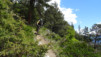 Tatz_14_022