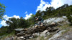 Tatz_14_025