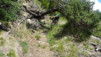 Tatz_14_026