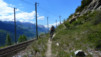 Tatz_14_027