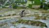 Tatz_14_037