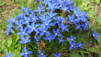 Thyon_Dixence_027.jpg