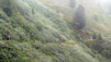 Tour_Mt_Fort_11_007