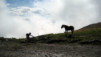 Tour_Mt_Gond_003.jpg