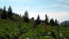 Tour_Pic_Chaussy_014.jpg