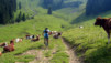 Tour_Pic_Chaussy_017.jpg
