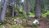 Trient_004.jpg