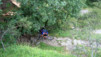 Trient_011.jpg