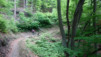 Trois_Limites_002