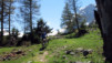 Val_Ferret_010.jpg