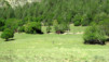 Val_Herens_07_019.jpg