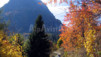 Daltonisme passager : les arbres verts sont rouges et les Aiguilles Rouges sont bleues. Vallorcine_Loriaz_002.jpg