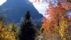 Daltonisme passager : les arbres verts sont rouges et les Aiguilles Rouges sont bleues. Vallorcine_Loriaz_002.jpg