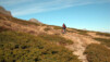 Le single-track qui serpente dans la Montagne de Loriaz est carrément indécent ... dans sa première partie... Vallorcine_Loriaz_007.jpg