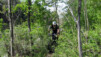 Forêt de Finges ou forêt vierge ? La question mérite localement d'être posée, surtout si vous décidez de quitter les sentiers balisés. Varen_Mollens_002.jpg