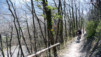Varen_Neuf_Lens_013.jpg
