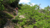 Varen_Planige_Cordona_024.jpg