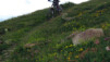 Changement déclivité oblige, Photoshop n'est visiblement plus requis pour afficher un large sourire sur les visages des crazy canaks. Varner_08_BigM_007.jpg