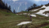 Varneralp03_006.jpg