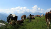 Varneralp_06_003.jpg