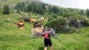 Varneralp_06_011.jpg