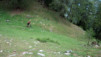Varneralp_06_036.jpg