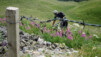 Varneralp_07_003.jpg