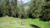 Varneralp_08_III_028.jpg