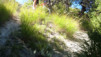 Varneralp_08_III_034.jpg