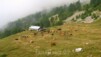 Petit joyaux émergeant du brouillard l'alpage de Nüschelet, son calme légendaire, sa palette de robes bovines et ses beuses abondantes marquent le début de la montée infernale, courte mais bien pentue, menant à Planigrächti, sa terrasse accueillante, ses cocas, sa gardienne sympathique et "Oberwaliserin approved". Varneralp_09-03