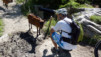 Varneralp_09_004