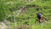 Varneralp_10_003