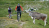 Varneralp_10_021