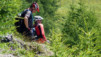 Varneralp_10_2_011