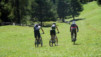 Varneralp_10_2_026