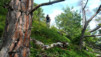 Varneralp_10_2_028