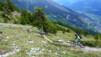 Oh purée, elle déchire grave celle-là. Varneralp_11_1_026