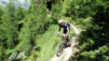 Des mélèzes... Varneralp_11_2_006