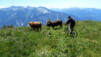 Pourquoi les Highlanders ne participent jamais aux combats de reines ? Avance encore un peu, tu vas bientôt le savoir. Varneralp_11_2_017