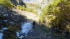 Varneralp_11_3_003