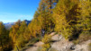 Varneralp_11_3_014