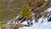 Varneralp_11_3_017