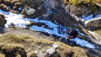 Varneralp_11_3_019